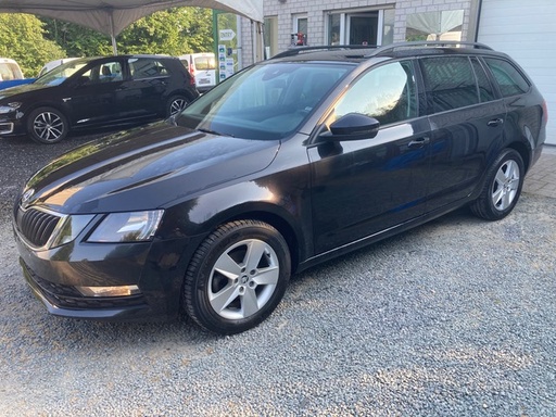 Skoda Octavia Break 1,6 CrTdi Diesel DSG 7